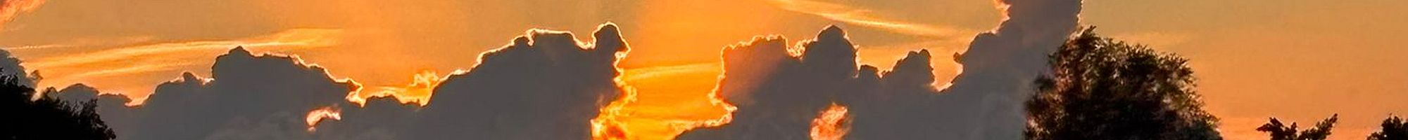 meteo webpagina